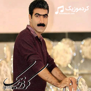 دانلود آهنگ کردی فرزاد فرجی بنام«ئامینه»