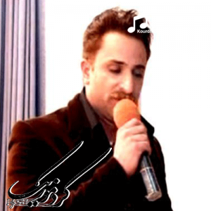 دانلود آهنگ کردی بابک محمدی بنام«هی لاوه لاوه»