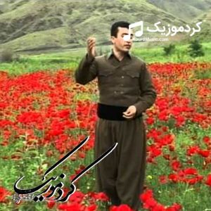 دانلود آهنگ کردی کمال قادری بنام«دوای گشت دردم»