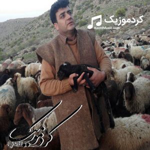 دانلود اهنگ کردی شاد پیمان رازیانی – ناو ران