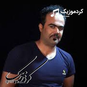 دانلود آهنگ کردی هیوا محمدیان بنام«ئای شل وی شل»
