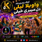 آهنگ بندری شاد واویلا لیلی دل میبری خیلی