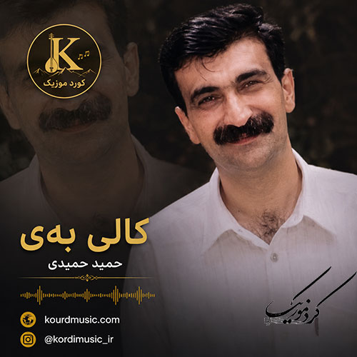 حمید حمیدی و آهنگ کالی به‌ی