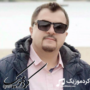 دانلود آهنگ های کردی مریوان صفادین – فول آلبوم