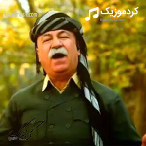 آهنگ کردی منو تو , نجمه الدین غلامی + متن و ترجمه فارسی