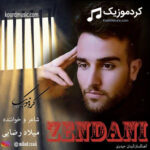 اهنگ زندانی میلاد رضایی