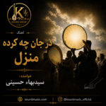 دانلود آهنگ سیدبهاء حسینی در جان چه کرده منزل | آهنگ عرفانی فارسی