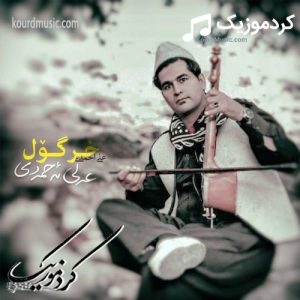 آهنگ خر گول علی احمدی  آهنگ لری شاد
