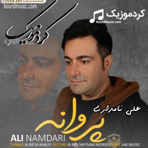 علی نامداری پروانه | آهنگ لری شاد 2020
