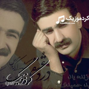 حمید حمیدی آهنگ ماردین MP3