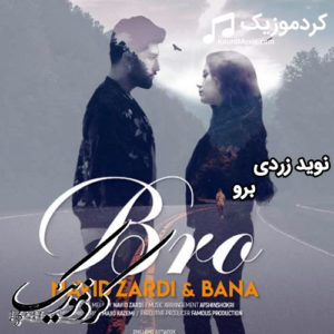 اهنگ جدید نوید زردی ” برو “