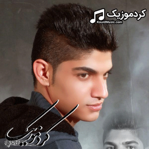 دانلود آهنگ کردی مجتبی ترکاشوند بنام«تاس زندگی»