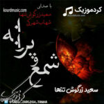 شمع و پروانه –  سعید زرگوش تنها
