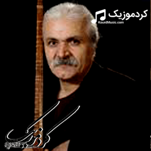 دانلود آهنگ کردی علی زندی بنام«دیوانم »
